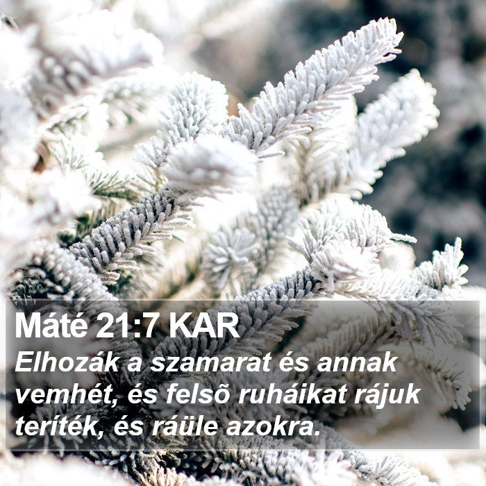 Máté 21:7 KAR Bible Study