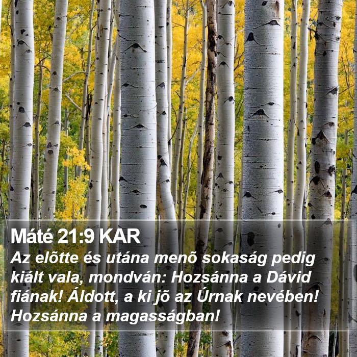 Máté 21:9 KAR Bible Study