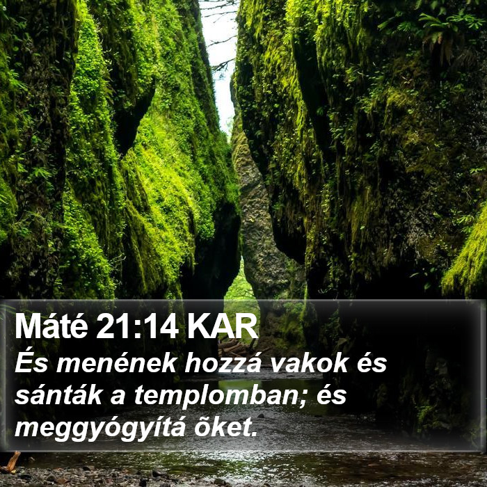 Máté 21:14 KAR Bible Study