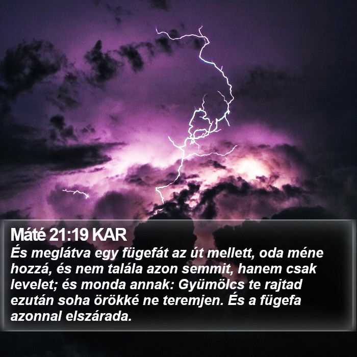 Máté 21:19 KAR Bible Study