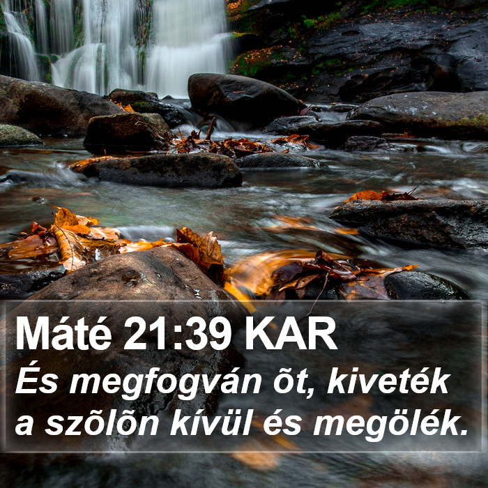 Máté 21:39 KAR Bible Study