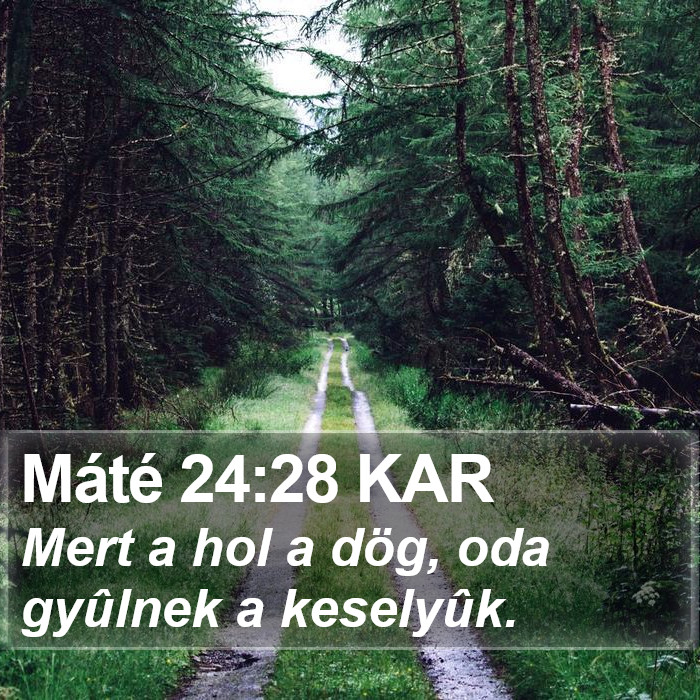 Máté 24:28 KAR Bible Study