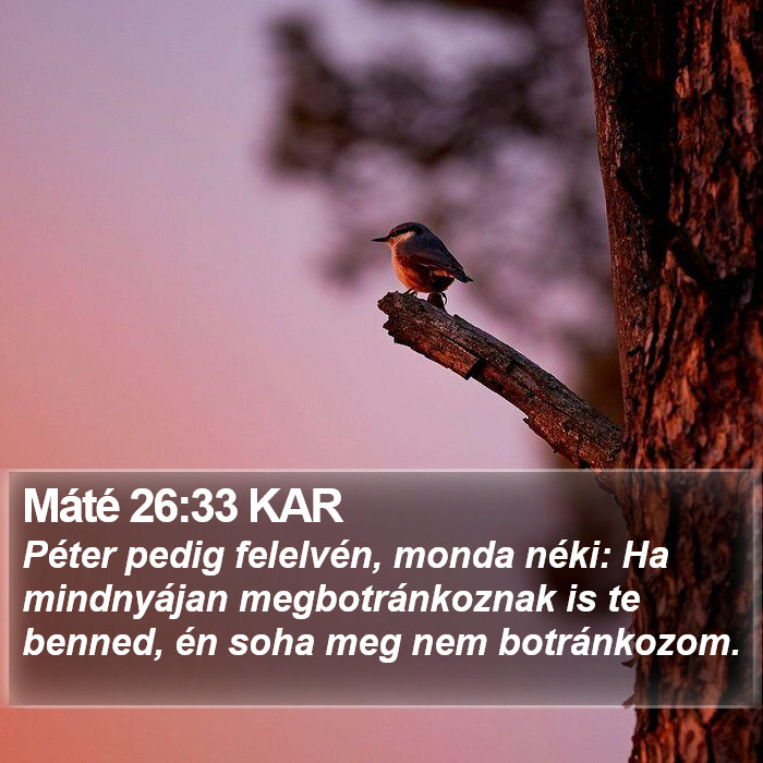 Máté 26:33 KAR Bible Study