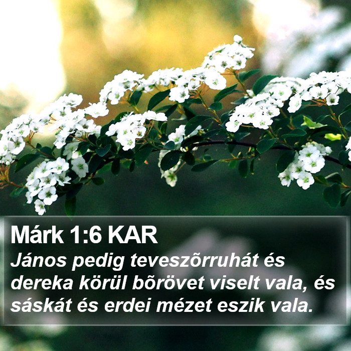 Márk 1:6 KAR Bible Study