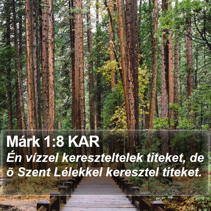 Márk 1:8 KAR Bible Study