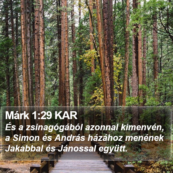 Márk 1:29 KAR Bible Study