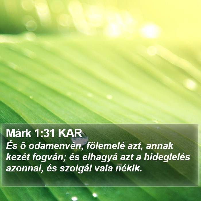 Márk 1:31 KAR Bible Study