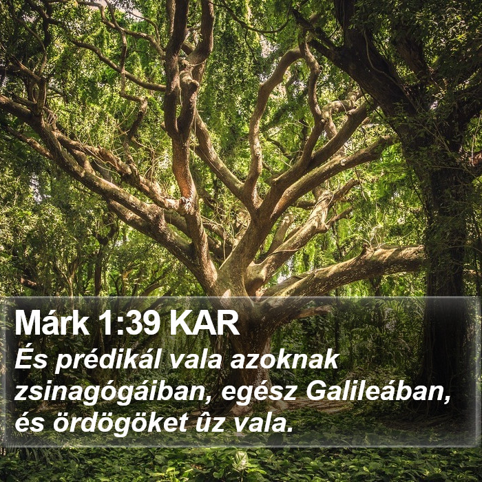 Márk 1:39 KAR Bible Study