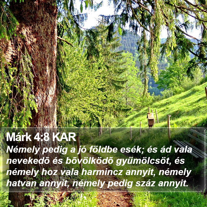 Márk 4:8 KAR Bible Study