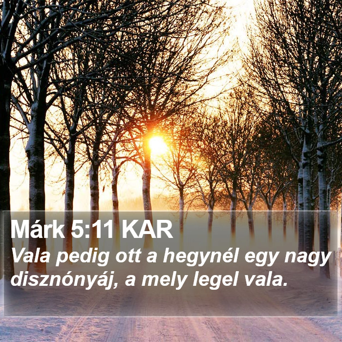 Márk 5:11 KAR Bible Study