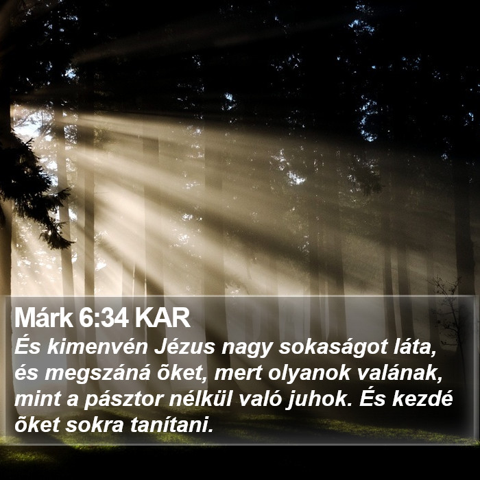 Márk 6:34 KAR Bible Study