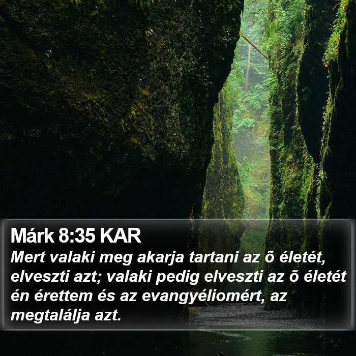 Márk 8:35 KAR Bible Study