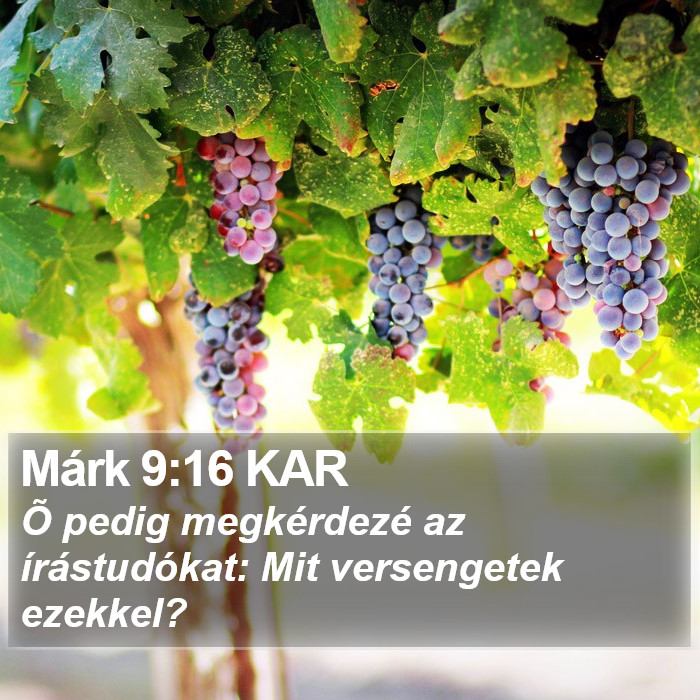 Márk 9:16 KAR Bible Study