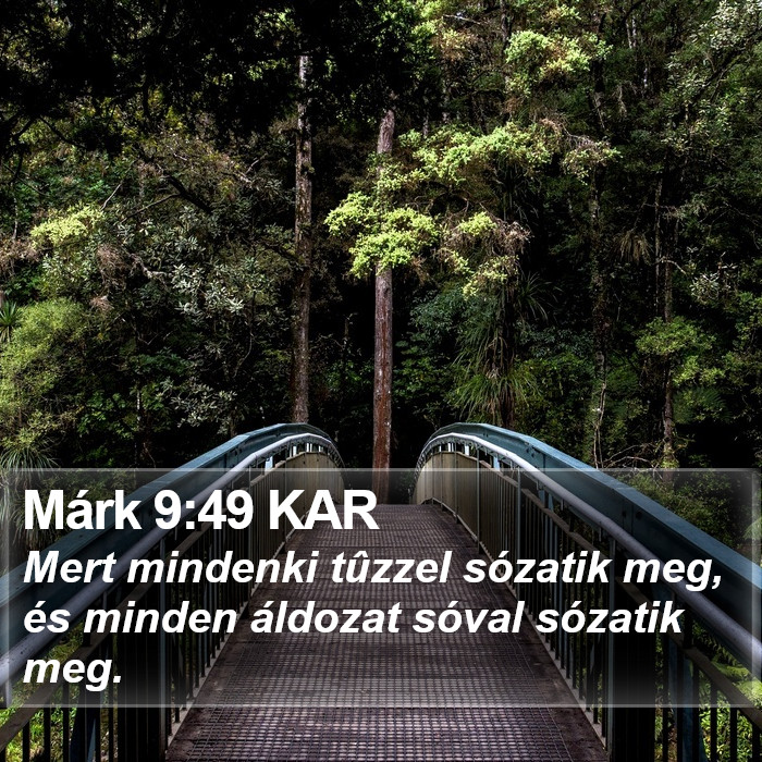 Márk 9:49 KAR Bible Study