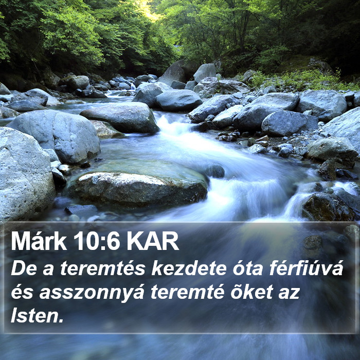 Márk 10:6 KAR Bible Study
