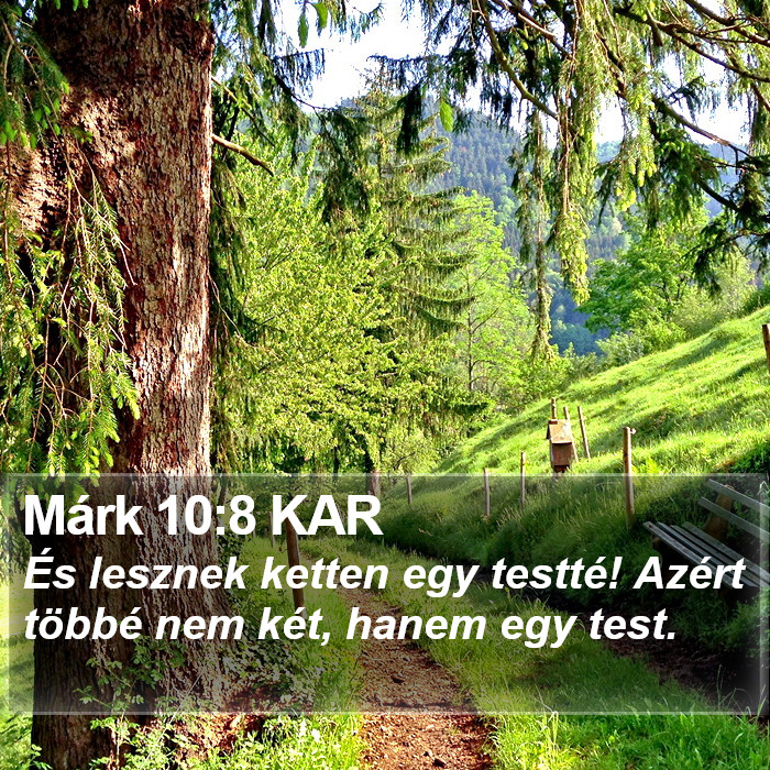 Márk 10:8 KAR Bible Study