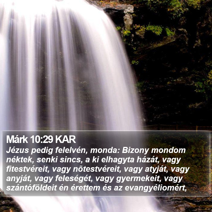 Márk 10:29 KAR Bible Study