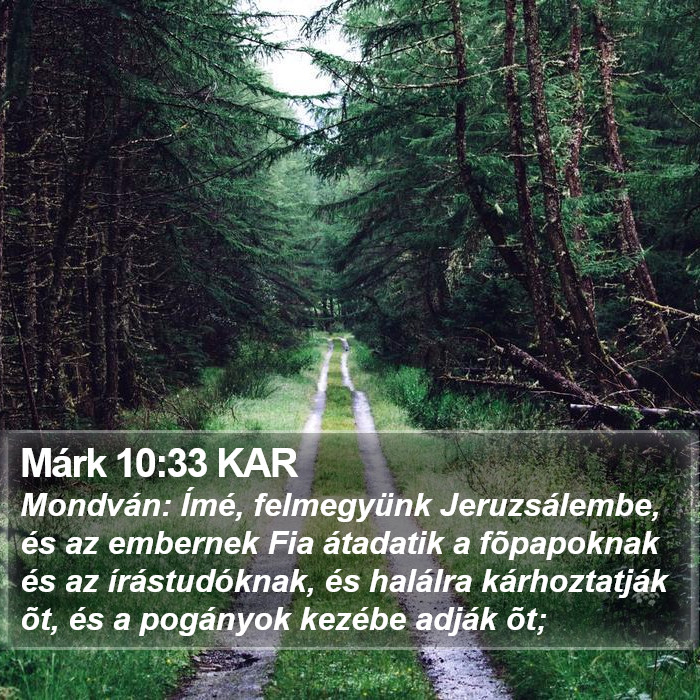 Márk 10:33 KAR Bible Study
