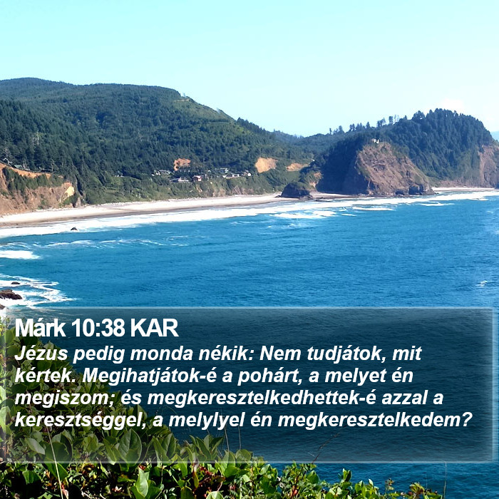 Márk 10:38 KAR Bible Study