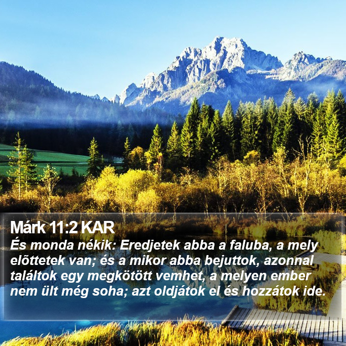 Márk 11:2 KAR Bible Study