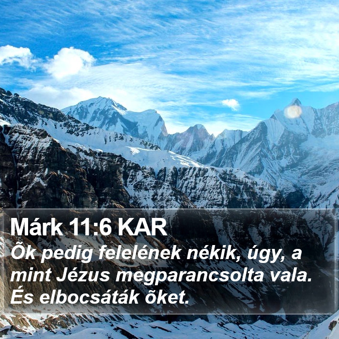 Márk 11:6 KAR Bible Study