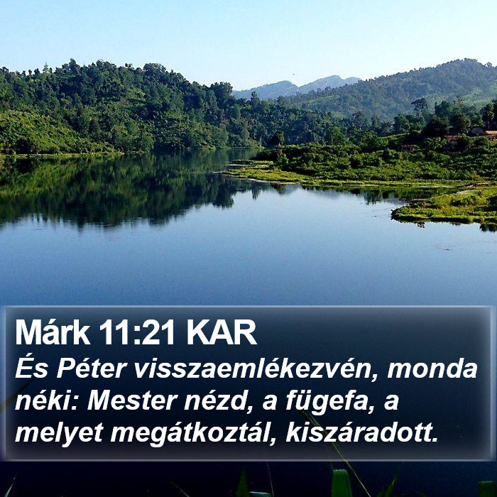 Márk 11:21 KAR Bible Study