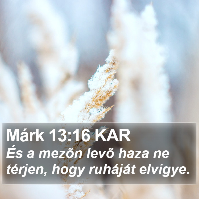Márk 13:16 KAR Bible Study