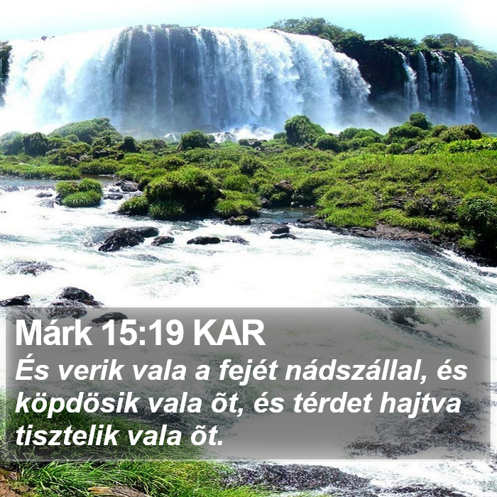 Márk 15:19 KAR Bible Study