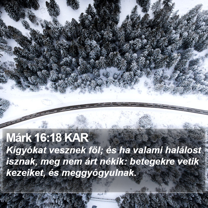 Márk 16:18 KAR Bible Study