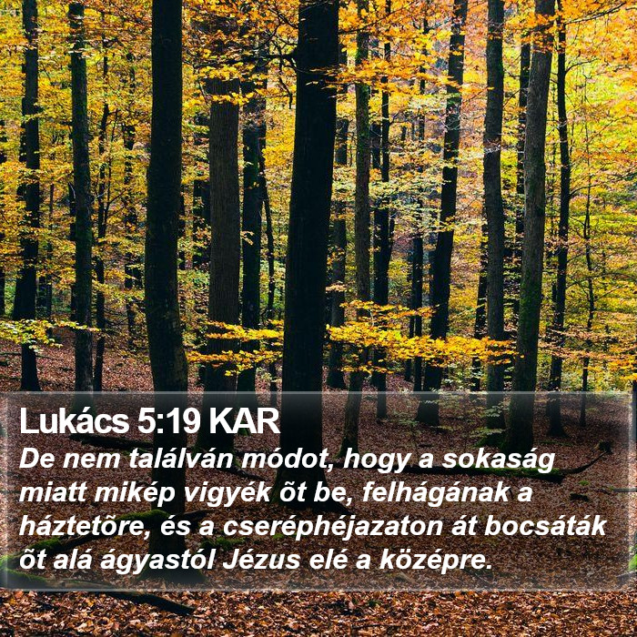 Lukács 5:19 KAR Bible Study