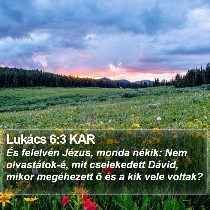 Lukács 6:3 KAR Bible Study