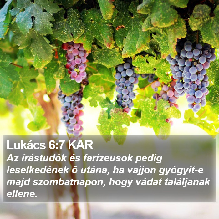 Lukács 6:7 KAR Bible Study