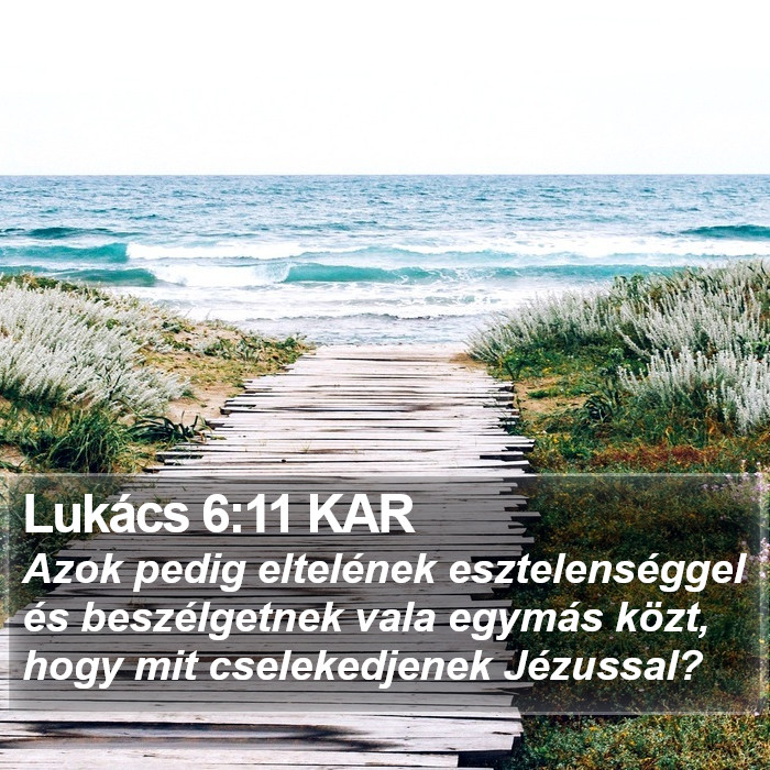 Lukács 6:11 KAR Bible Study