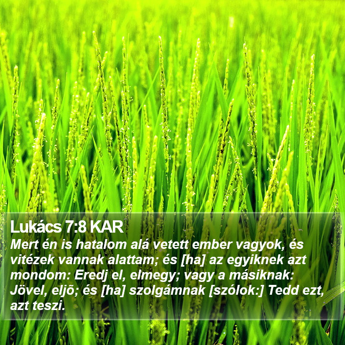 Lukács 7:8 KAR Bible Study