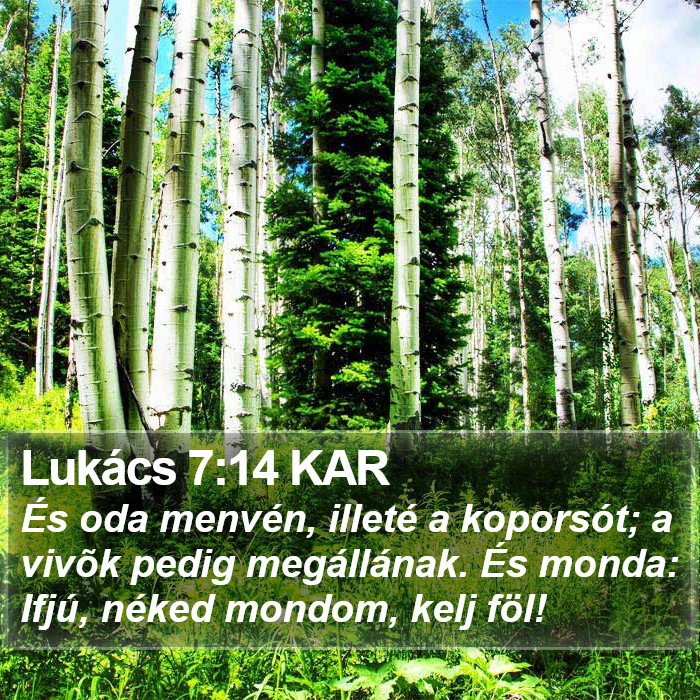 Lukács 7:14 KAR Bible Study