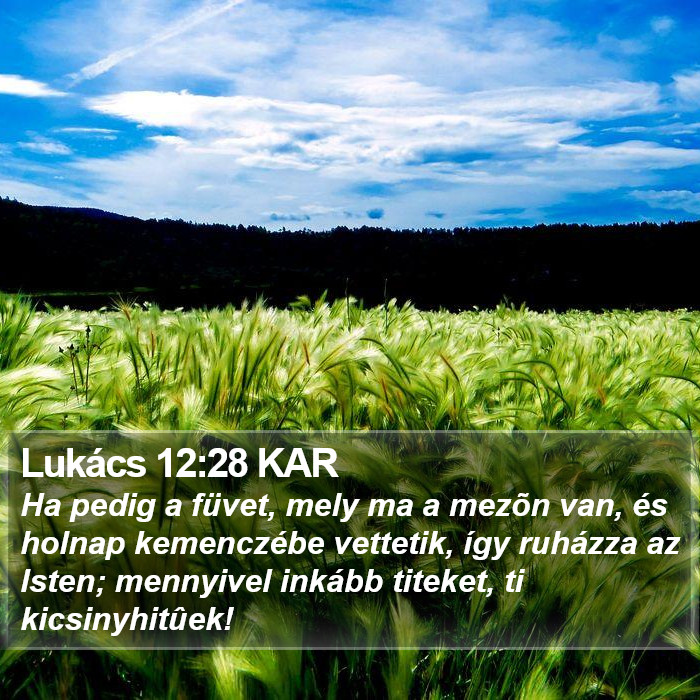 Lukács 12:28 KAR Bible Study