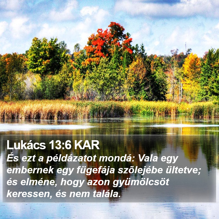 Lukács 13:6 KAR Bible Study