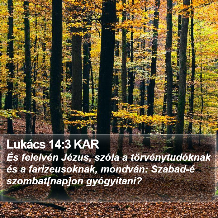 Lukács 14:3 KAR Bible Study