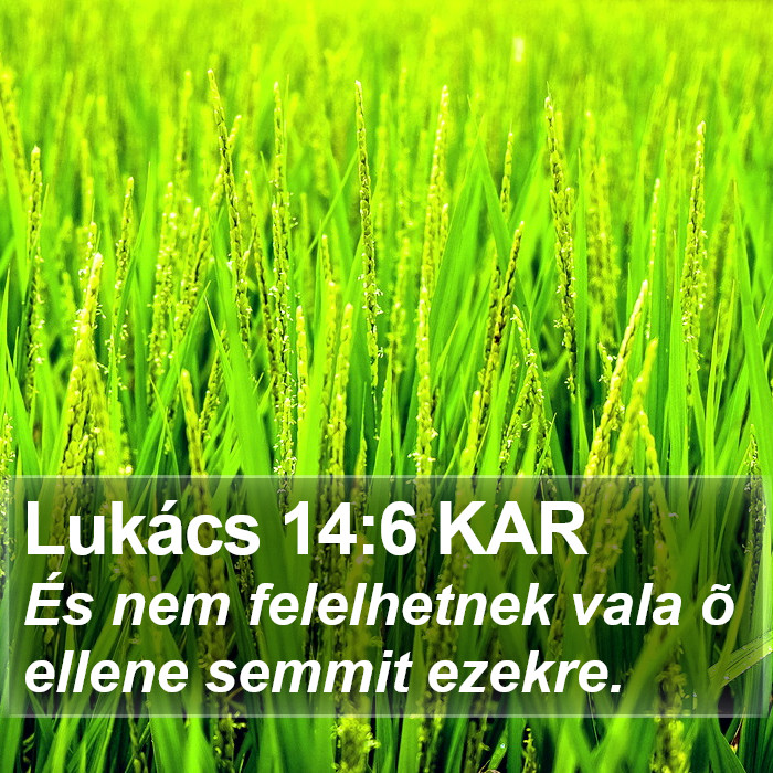 Lukács 14:6 KAR Bible Study