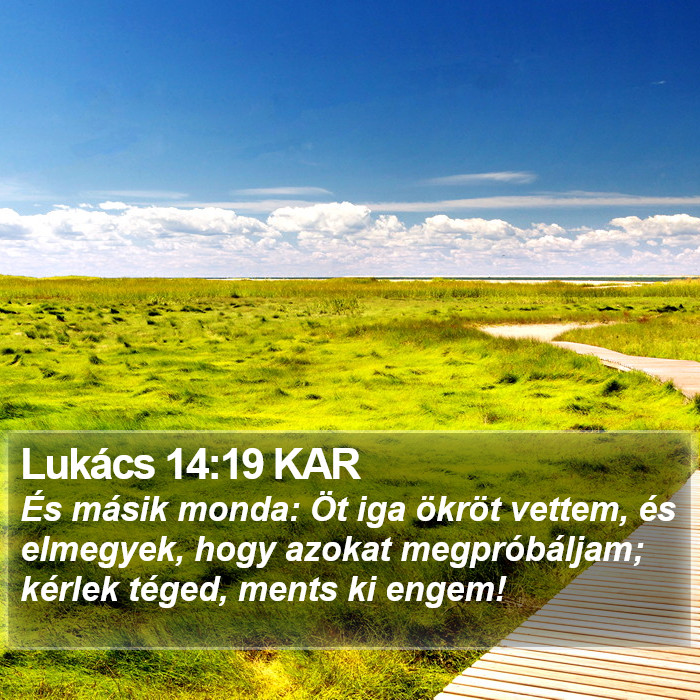 Lukács 14:19 KAR Bible Study