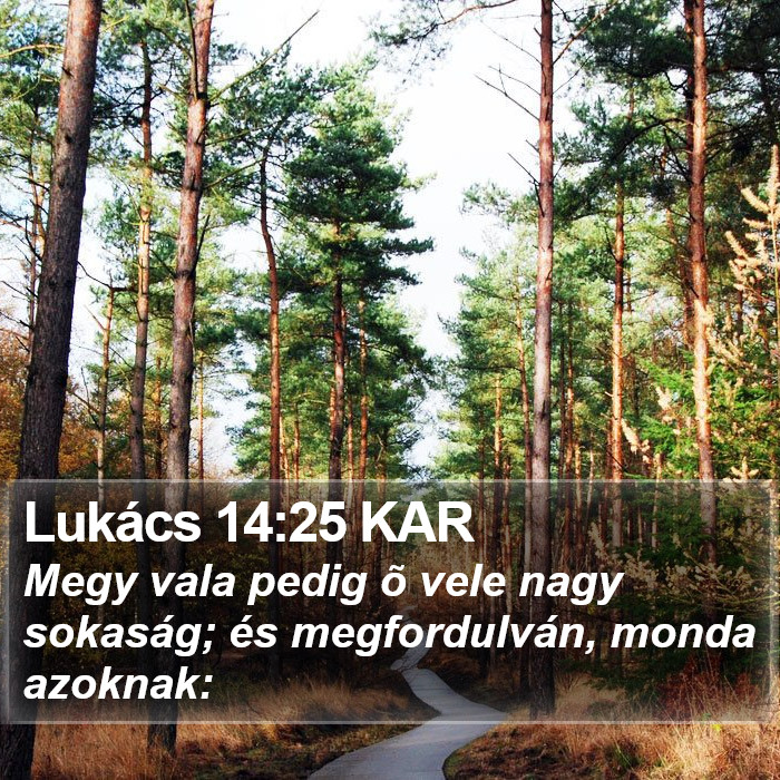 Lukács 14:25 KAR Bible Study