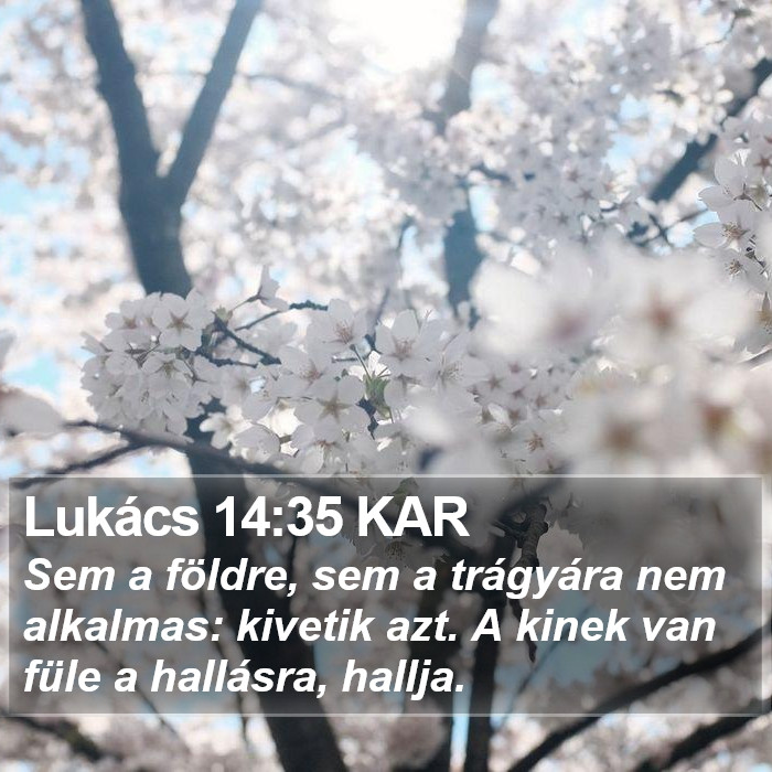 Lukács 14:35 KAR Bible Study