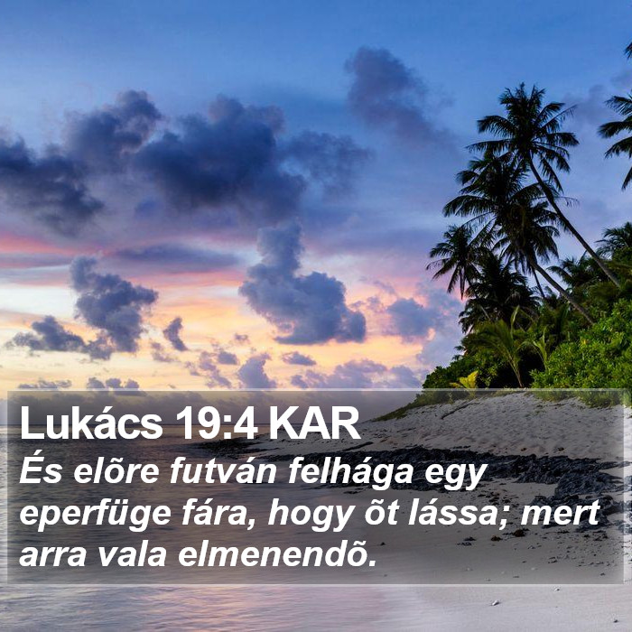 Lukács 19:4 KAR Bible Study