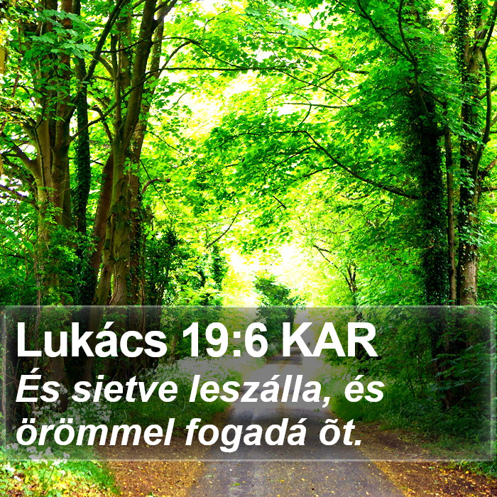 Lukács 19:6 KAR Bible Study