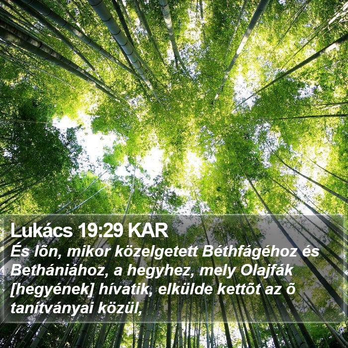 Lukács 19:29 KAR Bible Study