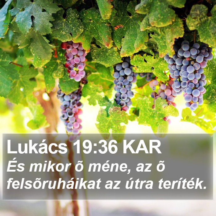 Lukács 19:36 KAR Bible Study