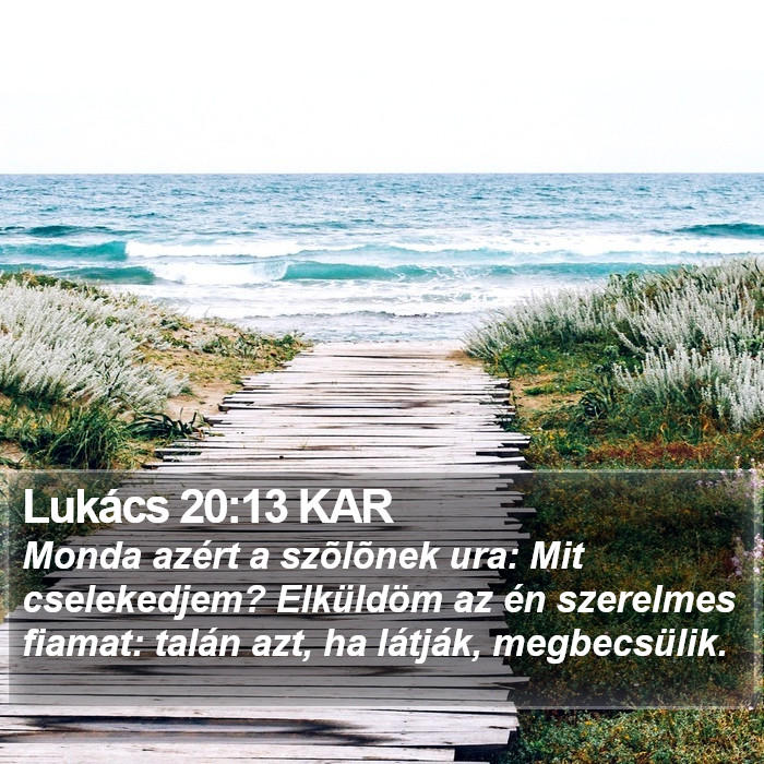 Lukács 20:13 KAR Bible Study