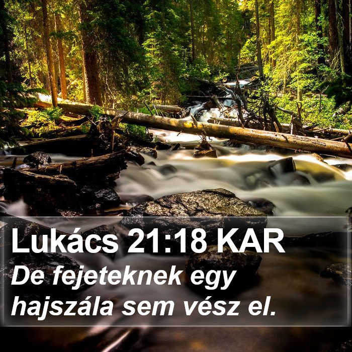 Lukács 21:18 KAR Bible Study