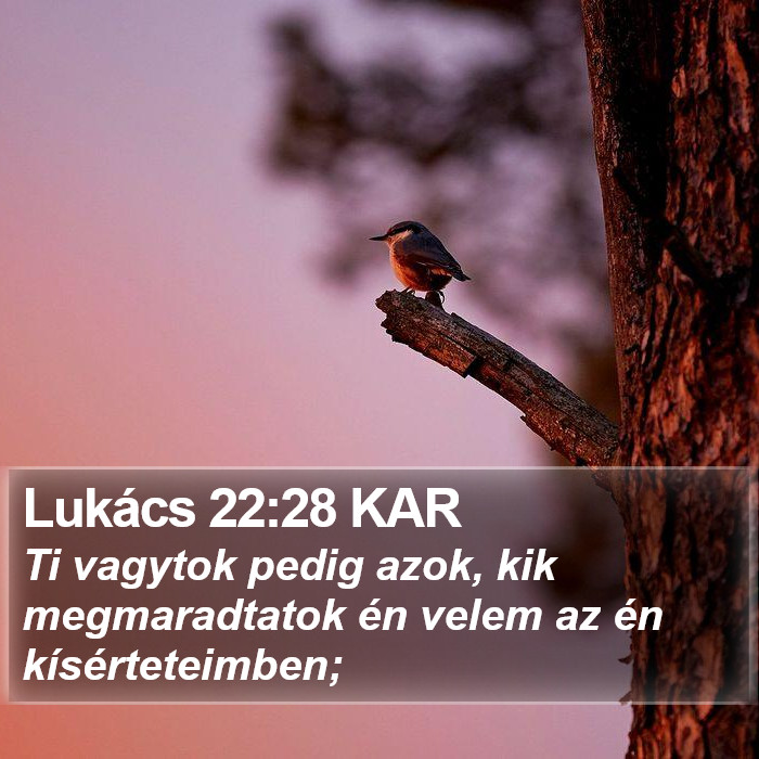Lukács 22:28 KAR Bible Study