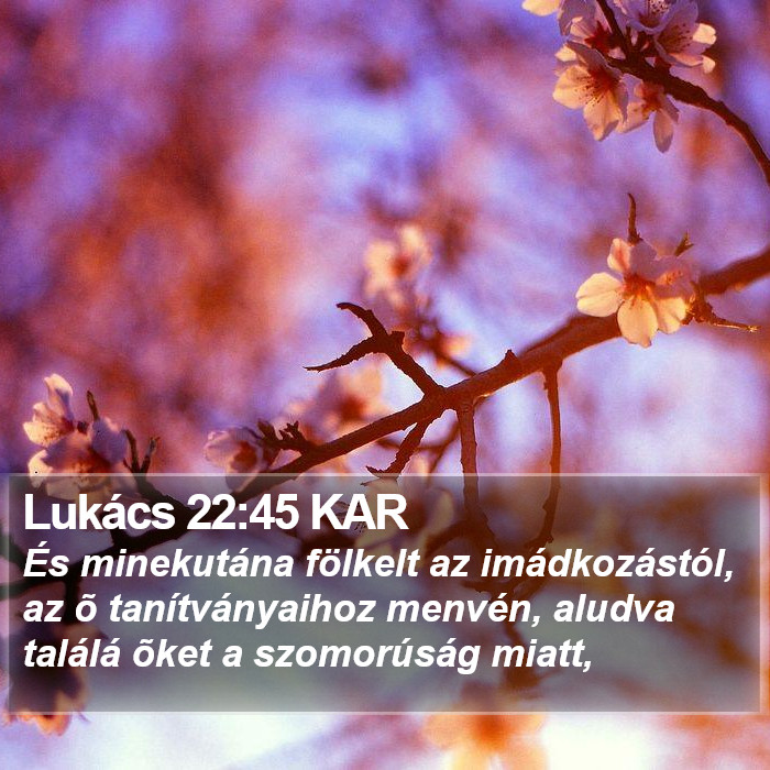 Lukács 22:45 KAR Bible Study